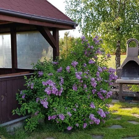 Villa Dom W Skowronkach Sasino Esterno foto