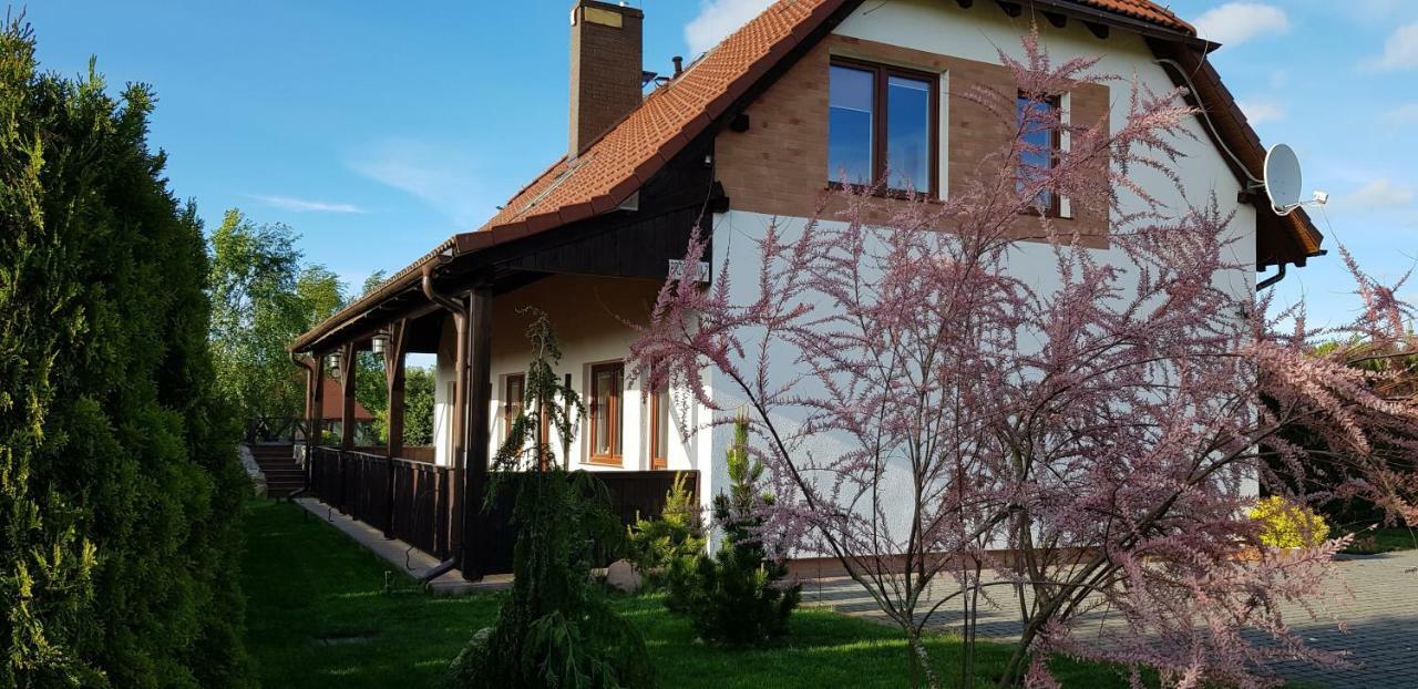 Villa Dom W Skowronkach Sasino Esterno foto