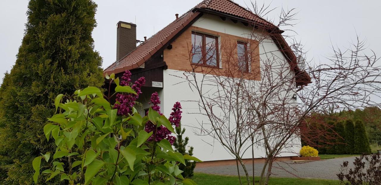 Villa Dom W Skowronkach Sasino Esterno foto